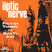 the optic nerve